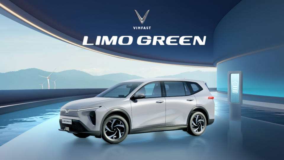 Anygard Vinfast Limogreen